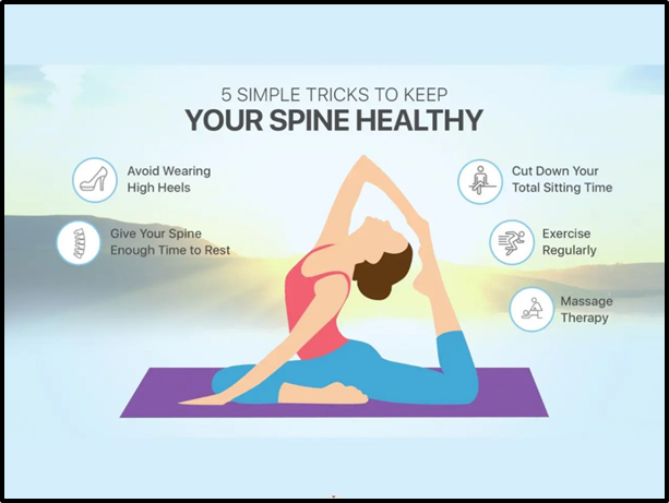 A Healthy Spine