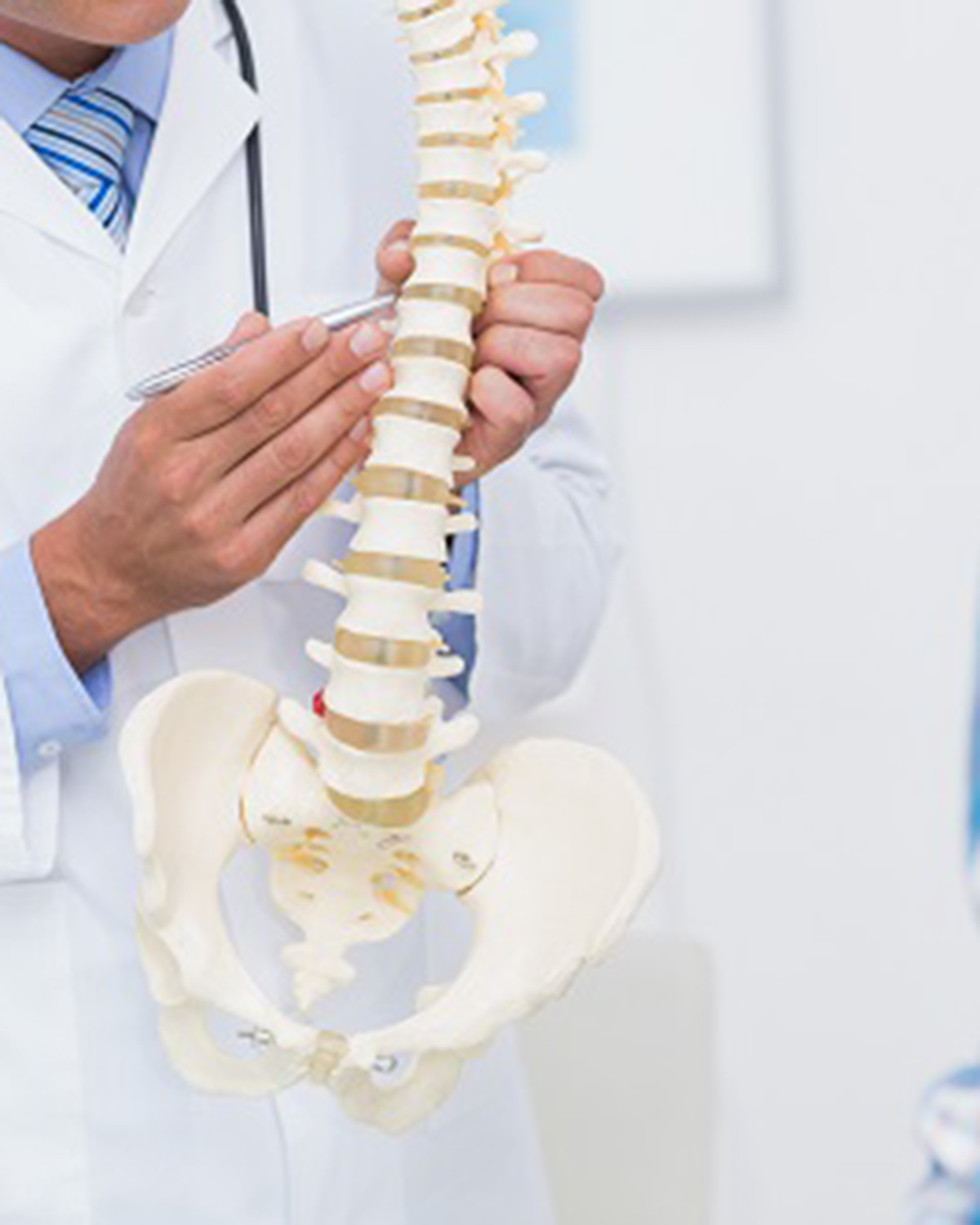 Doctor showing anatomical spine to his patient